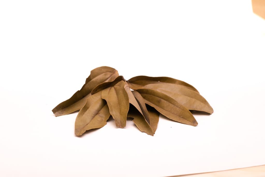 Dried Cinnamon Leaves