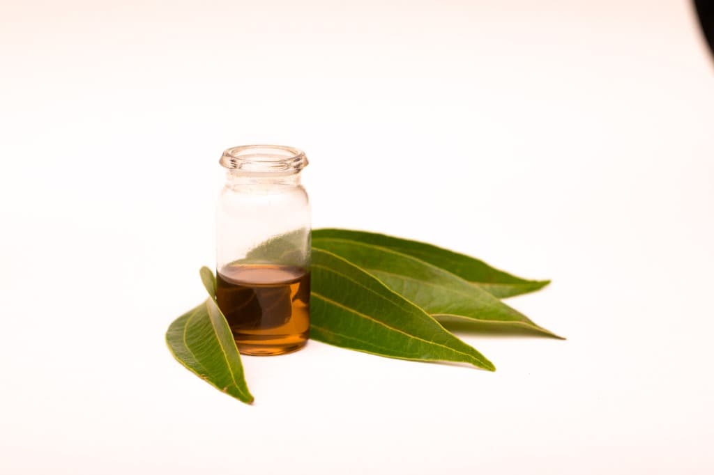 Ceylon Cinnamon Leaf Oil